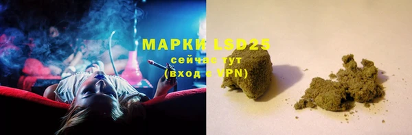 гидра Алексин