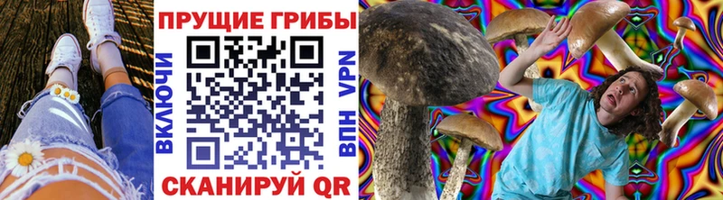 Галлюциногенные грибы мицелий  Одинцово 